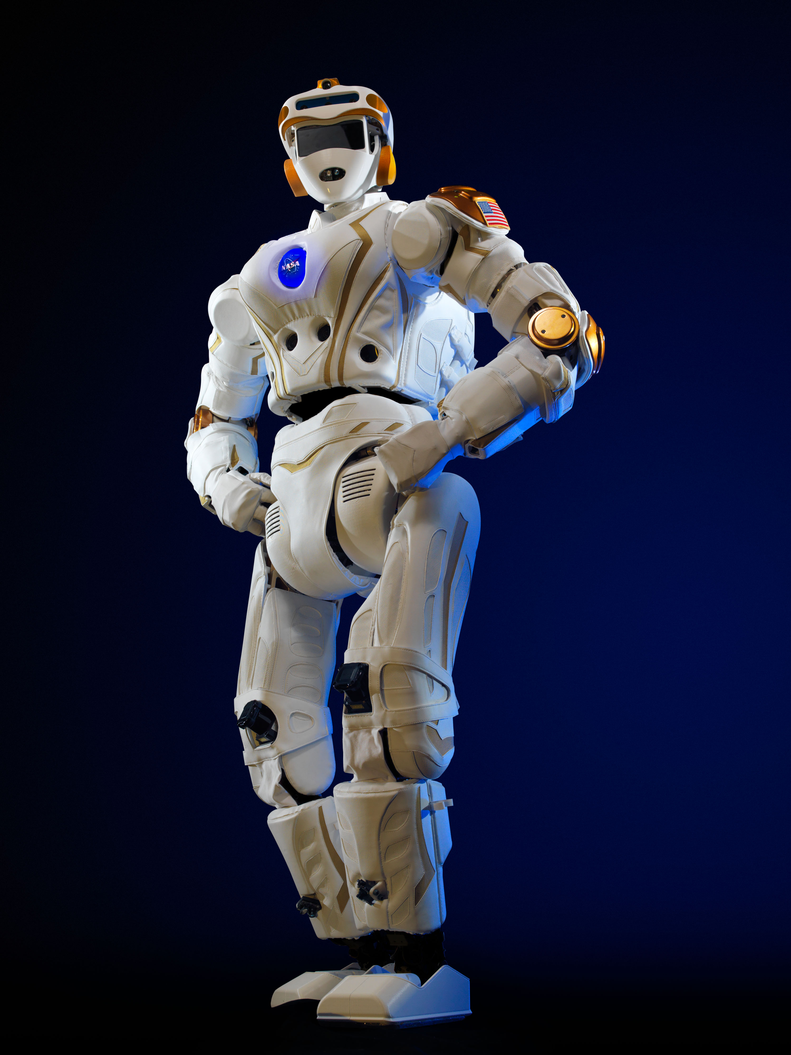 Valkyrie Robot